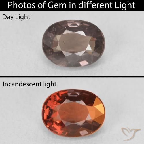 1.58ct Natürlicher Mittelhellbraun Farbwechselnder Granat, Oval, VVS-VS