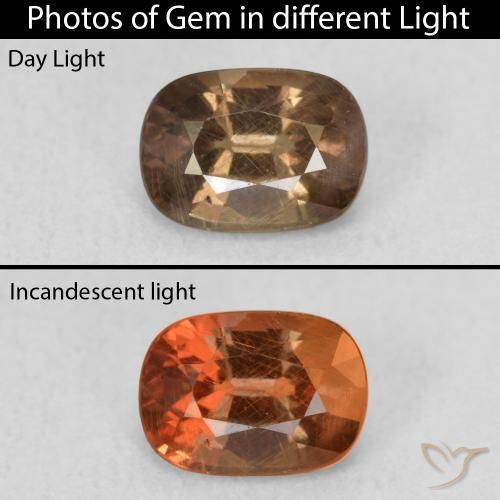 1.08ct Natürlicher dunkelbraun Farbwechselnder Granat, Oval, VS