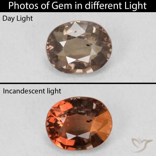 1.23ct Natürlicher Mittelhellbraun Farbwechselnder Granat, Oval, VS