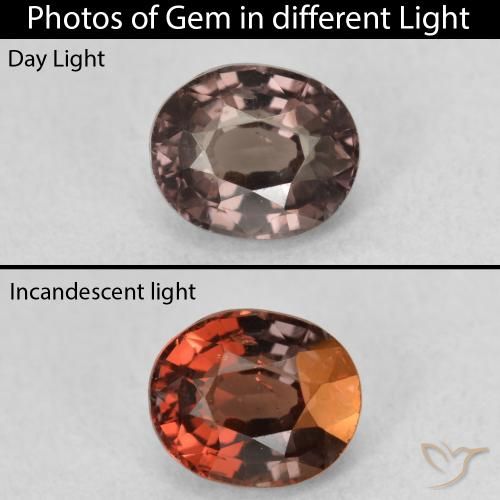 1.36ct Natürlicher dunkelbraun Farbwechselnder Granat, Oval, VS