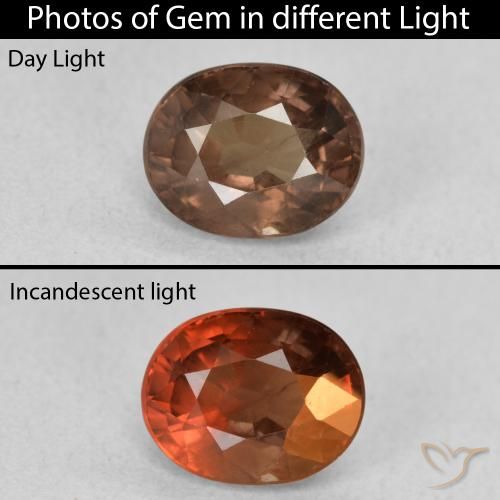 1.57ct Natürlicher dunkelbraun Farbwechselnder Granat, Oval, VS