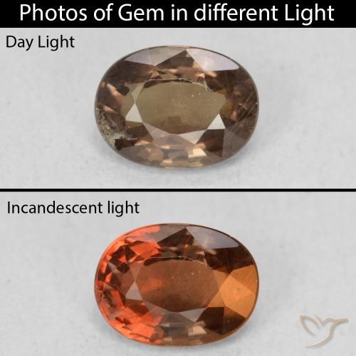 1.16ct Natürlicher dunkelbraun Farbwechselnder Granat, Oval, VS