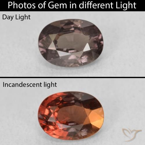 1.06ct Natürlicher dunkelbraun Farbwechselnder Granat, Oval, VS