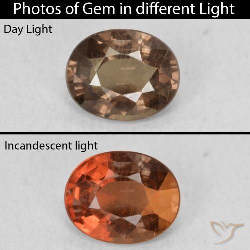1.01ct Natürlicher dunkelbraun Farbwechselnder Granat, Oval, VS