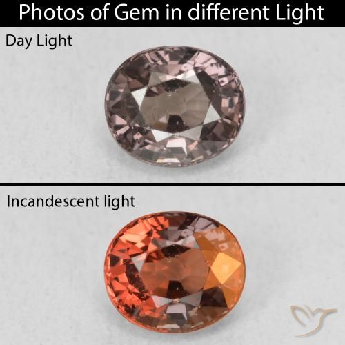 1.00ct Natürlicher dunkelbraun Farbwechselnder Granat, Oval, VS