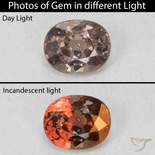 0.97ct Natürlicher dunkelbraun Farbwechselnder Granat, Oval, VS