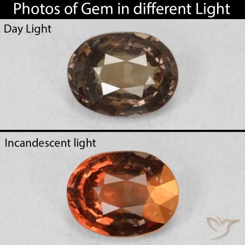 1.26ct Natürlicher dunkelbraun Farbwechselnder Granat, Oval, VS