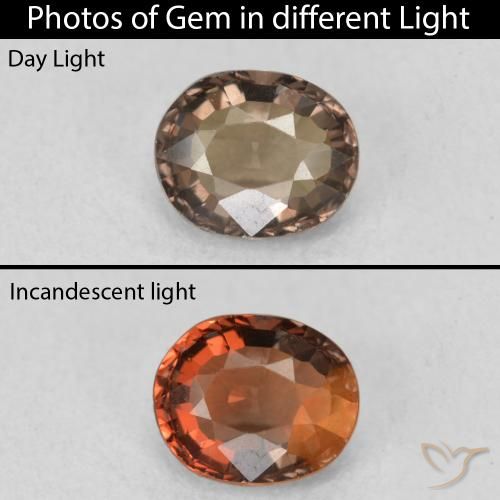 1.03ct Natürlicher Warmes Braun Farbwechselnder Granat, Oval, VVS