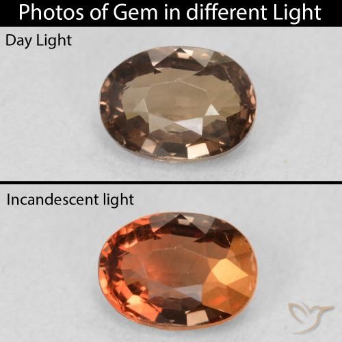 1.16ct Natürlicher Mittel braun Farbwechselnder Granat, Oval, VVS