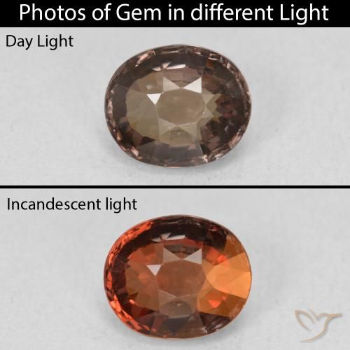 1.39ct Natürlicher Mittel braun Farbwechselnder Granat, Oval, VVS
