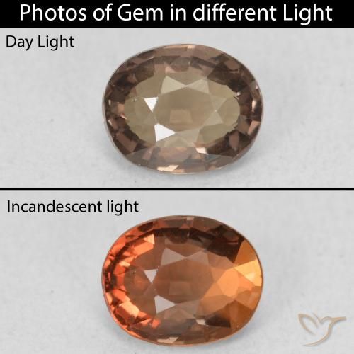 1.03ct Natürlicher Mittel braun Farbwechselnder Granat, Oval, VVS