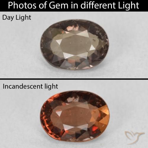 1.17ct Natürlicher Warmes Braun Farbwechselnder Granat, Oval, VS