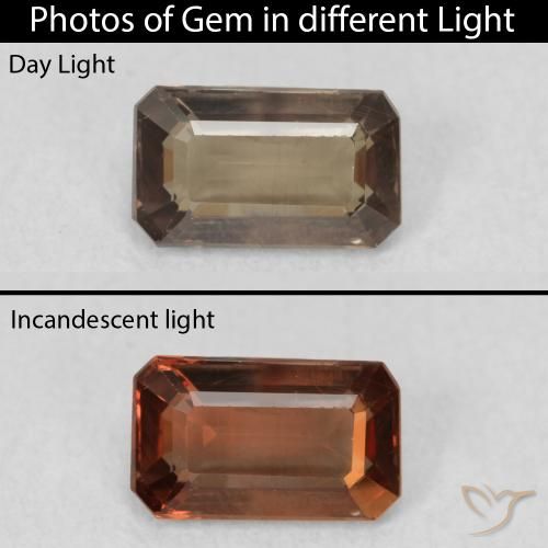 1.02ct Natürlicher Medium Dark-Brown Farbwechselnder Granat, Smaragdschliff, VS