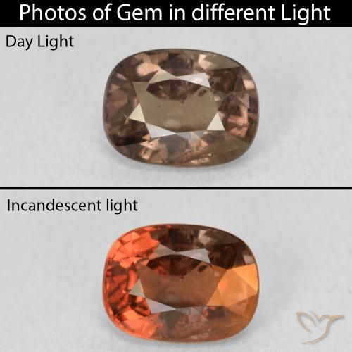 1.21ct Natürlicher Warmes Braun Farbwechselnder Granat, Kissen, VS