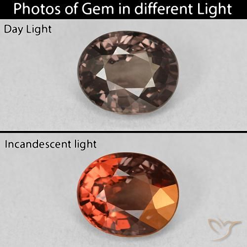 1.78ct Natürlicher Mittel braun Farbwechselnder Granat, Oval, VVS-VS