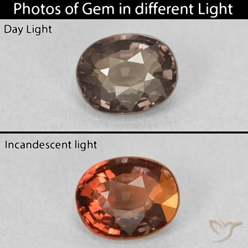 1.05ct Natürlicher Mittel braun Farbwechselnder Granat, Oval, VVS