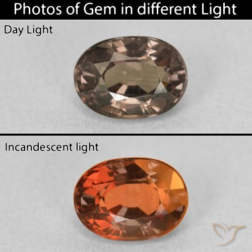 1.04ct Natürlicher Hickory Braun Farbwechselnder Granat, Oval, VVS