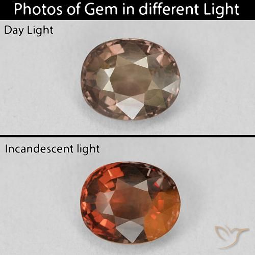 1.46ct Natürlicher Pekannussbraun Farbwechselnder Granat, Kissen, VVS-VS