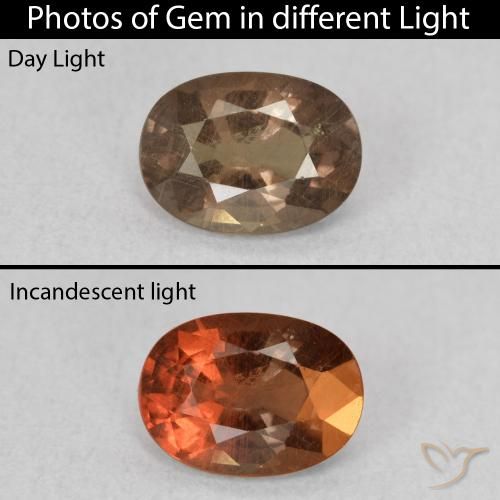 0.93ct Natürlicher Mittelhellbraun Farbwechselnder Granat, Oval, VS