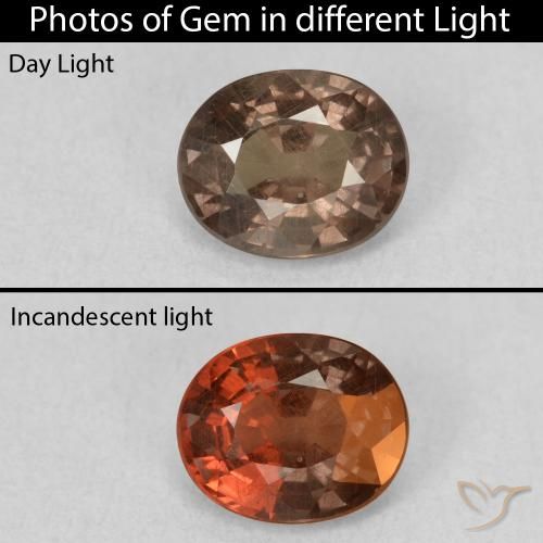 1.07ct Natürlicher Mittelhellbraun Farbwechselnder Granat, Oval, VS