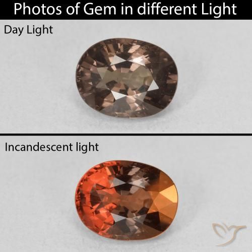 1.57ct Natürlicher dunkelbraun Farbwechselnder Granat, Oval, VS