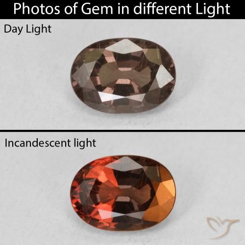 1.34ct Natürlicher dunkelbraun Farbwechselnder Granat, Oval, VS
