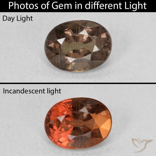 0.97ct Natürlicher dunkelbraun Farbwechselnder Granat, Oval, VS