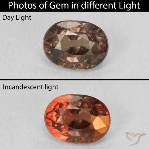 0.96ct Natürlicher dunkelbraun Farbwechselnder Granat, Oval, VS