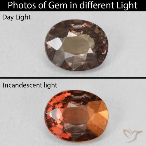 1.28ct Natürlicher dunkelbraun Farbwechselnder Granat, Oval, VS