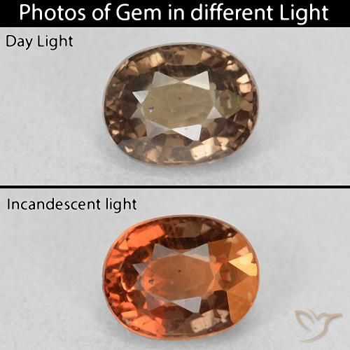 0.99ct Natürlicher dunkelbraun Farbwechselnder Granat, Oval, VS
