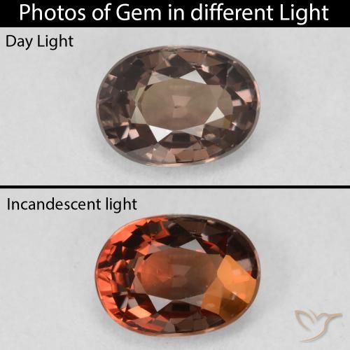 1.19ct Natürlicher dunkelbraun Farbwechselnder Granat, Oval, VVS-VS