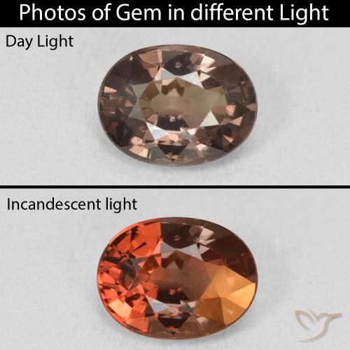 1.21ct Natürlicher dunkelbraun Farbwechselnder Granat, Oval, VVS-VS