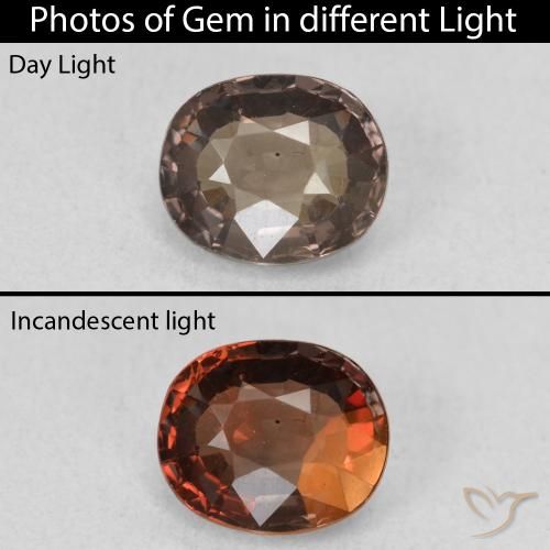 1.30ct Natürlicher dunkelbraun Farbwechselnder Granat, Oval, VVS-VS