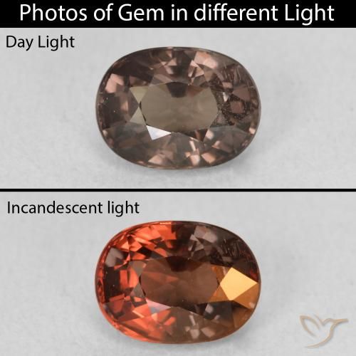 1.47ct Natürlicher dunkelbraun Farbwechselnder Granat, Oval, VVS-VS