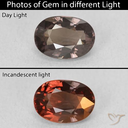 1.50ct Natürlicher dunkelbraun Farbwechselnder Granat, Oval, VVS-VS