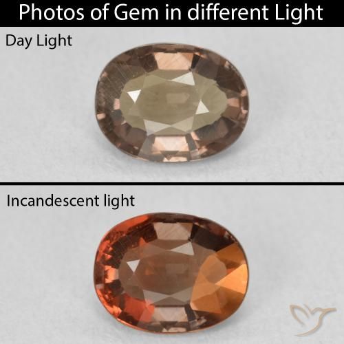 1.32ct Natürlicher dunkelbraun Farbwechselnder Granat, Oval, VVS-VS