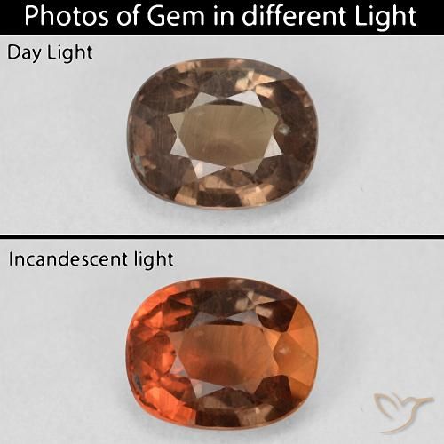 1.50ct Natürlicher dunkelbraun Farbwechselnder Granat, Kissen, VS