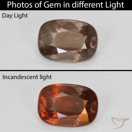 1.50ct Natürlicher dunkelbraun Farbwechselnder Granat, Kissen, VS
