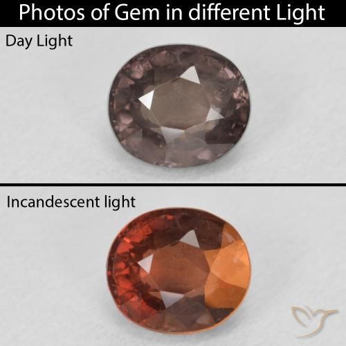1.50ct Natürlicher Mittelhellbraun Farbwechselnder Granat, Oval, VS