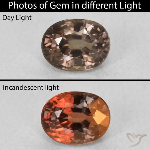 0.98ct Natürlicher dunkelbraun Farbwechselnder Granat, Oval, VVS