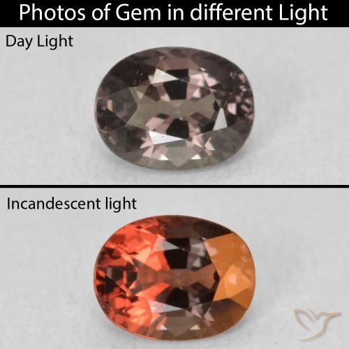 0.92ct Natürlicher Pekannussbraun Farbwechselnder Granat, Oval, VVS