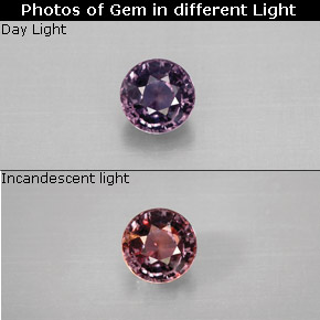 9,17 ctw natürlicher Mehrfarbig Farbwechselnder Saphir, Rund Schliff, VVS-VS