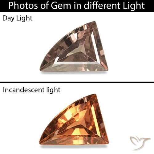 9,17 ctw natürlicher dunkelbraun Farbwechselnder Saphir, Ausgefallene Form, VVS-VS