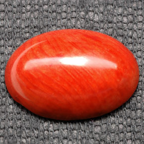 7,43 ctw natürlicher orangefarbener Koralle, Oval Schliff, Lichtundurchlässig