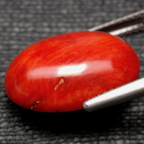 9,17 ctw natürlicher Orange Koralle, Oval Schliff, Lichtundurchlässig