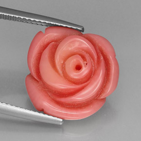 9,17 ctw natürlicher Lachs Koralle, Ausgefallene Form, Lichtundurchlässig