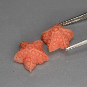  ct natürliche Lachs Koralle-Edelsteine, Ausgefallene Form, Lichtundurchlässig