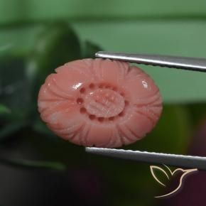9,17 ctw natürlicher Rötlich-Rosa-Ton Koralle, Blumen-Schliff, Lichtundurchlässig