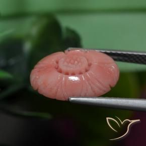 9,17 ctw natürlicher Rötlich-Rosa-Ton Koralle, Blumen-Schliff, Lichtundurchlässig
