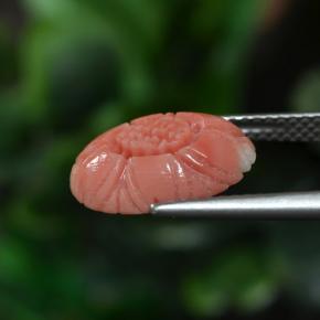 9,17 ctw natürlicher Rötlich-Rosa-Ton Koralle, Blumen-Schliff, Lichtundurchlässig